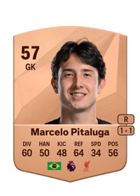 Marcelo Pitaluga Common 57 OVR