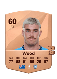 Patrick Wood Common 60 OVR