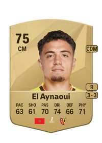 Neil El Aynaoui Common 75 OVR