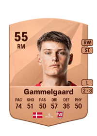 Christian Gammelgaard Common 55 OVR