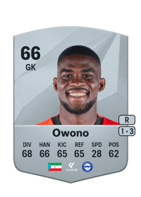 Owono Common 66 OVR