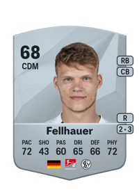 Robin Fellhauer Common 68 OVR