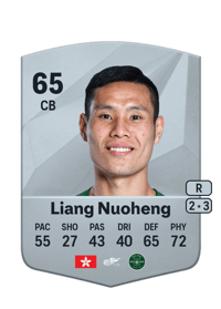 Liang Nuoheng Common 65 OVR
