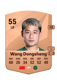 Wang Dongsheng Common 55 OVR