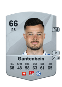 Adrian Gantenbein Common 66 OVR
