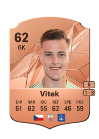 Radek Vitek Rare 62 OVR