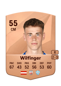 Fabian Wilfinger Common 55 OVR