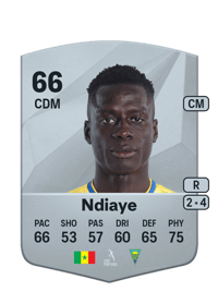 Mor Ndiaye Common 66 OVR