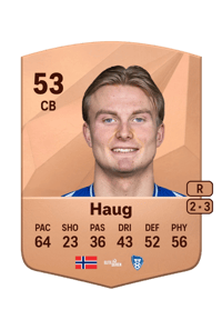Elias Kringberg Haug Common 53 OVR
