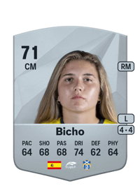 Bicho Common 71 OVR