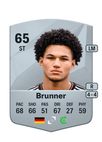 Paris Brunner Common 65 OVR
