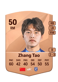 Zhang Tao Common 50 OVR