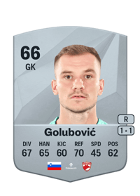 Adnan Golubović Common 66 OVR