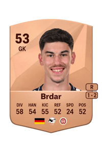 Noah Brdar Common 53 OVR