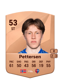 Storm Bugge Pettersen Common 53 OVR