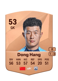 Dong Hang Common 53 OVR