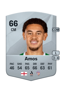 Luke Amos Common 66 OVR