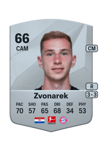 Lovro Zvonarek Common 66 OVR