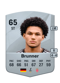 Paris Brunner Common 65 OVR