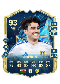 Daniel James TEAM OF THE SEASON 93 OVR