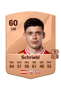 Thorsten Schriebl Common 60 OVR