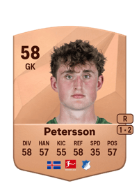 Lúkas Petersson Common 58 OVR