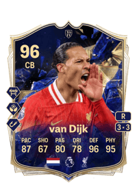 Virgil van Dijk Team of the Year 96 OVR