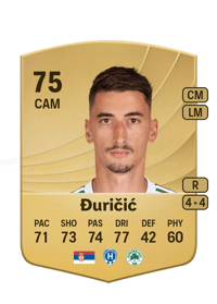 Filip Đuričić Common 75 OVR