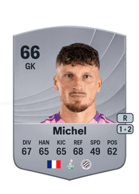 Mathieu Michel Common 66 OVR