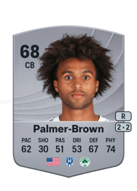 Erik Palmer-Brown Common 68 OVR