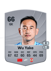 Wu Yake Common 66 OVR