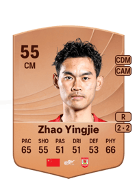 Zhao Yingjie Common 55 OVR