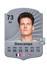 Rémy Descamps Rare 73 OVR
