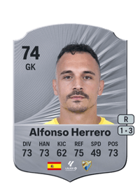 Alfonso Herrero Rare 74 OVR