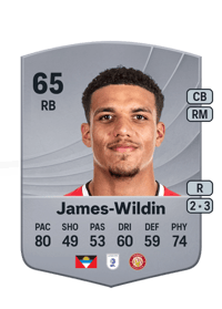 Luther James-Wildin Common 65 OVR