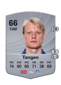 Harald Nilsen Tangen Common 66 OVR