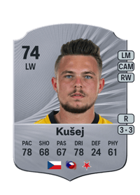 Vasil Kušej Rare 74 OVR