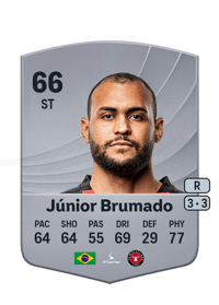 Júnior Brumado Common 66 OVR