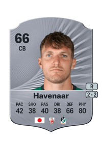 Nikki Havenaar Rare 66 OVR