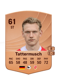 Ted Tattermusch Common 61 OVR