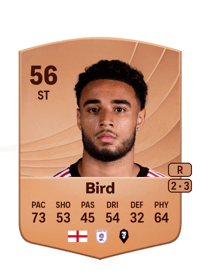 Jay Bird Common 56 OVR