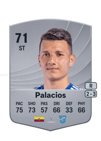 Byron Palacios Common 71 OVR