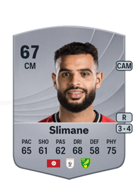 Anis Slimane Common 67 OVR