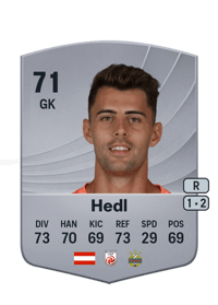 Niklas Hedl Common 71 OVR
