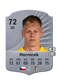 Lukas Hornicek Rare 72 OVR