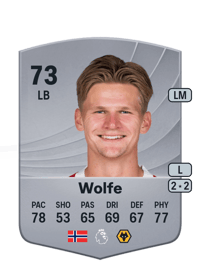 David Møller Wolfe Common 73 OVR
