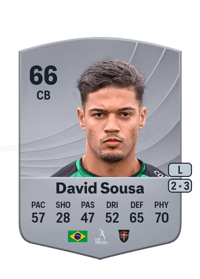 David Sousa Common 66 OVR