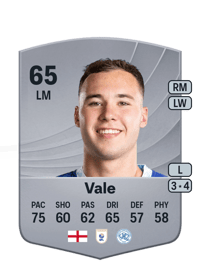 Harvey Vale Common 65 OVR
