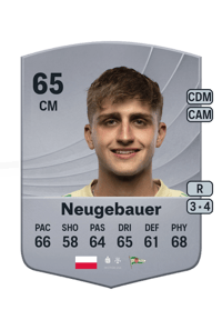 Tomasz Neugebauer Common 65 OVR