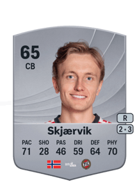 Vetle Skjærvik Common 65 OVR